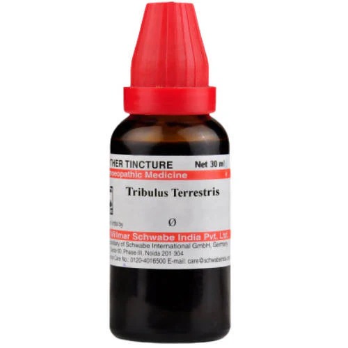 Dr Willmar Schwabe India Tribulus Terrestris Mother Tincture Q