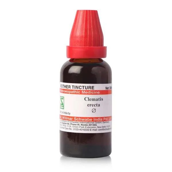 Dr. Willmar Schwabe India Clematis Erecta Mother Tincture Q