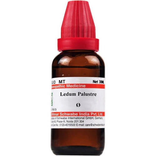 Dr. Willmar Schwabe India Ledum Palustre Mother Tincture Q 