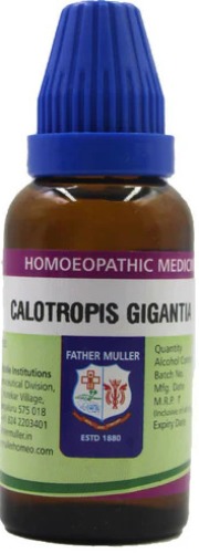 Father Muller Calotropis Gigantea Drop Q