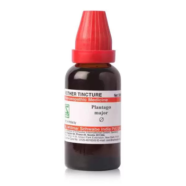 Schwabe Plantago major  Mother Tincture Q