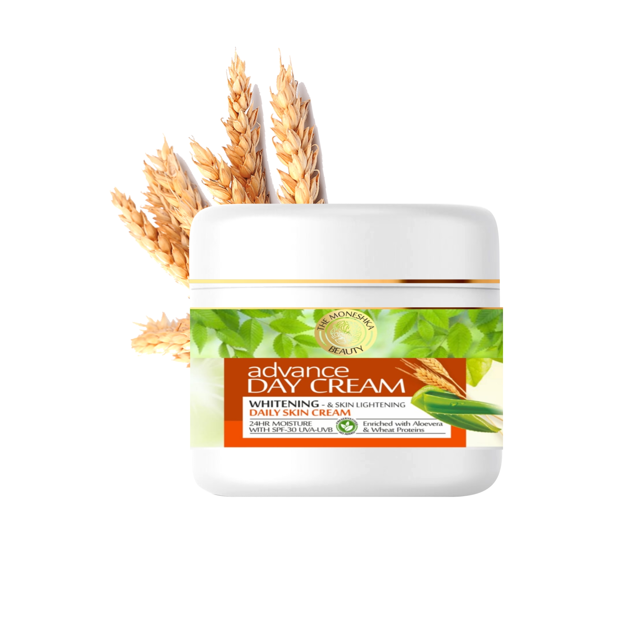 The Moneshka Beauty Day Cream